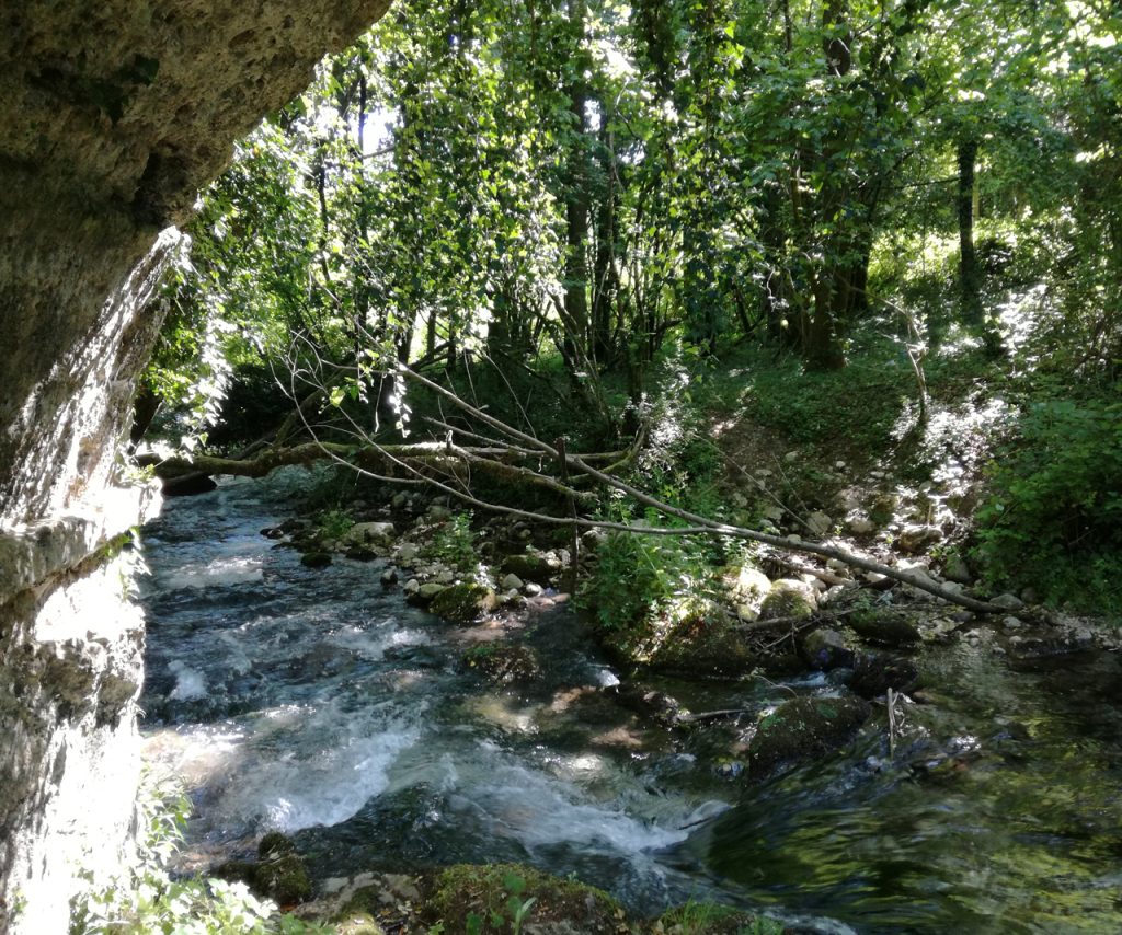 La Bottega di Acerno